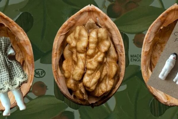 Three halves of walnut shells, the central one containing a walnut, the other two containing very tiny dolls