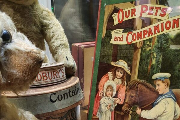 Close-up of a teddy bear's snout and a vintage children's book titled Our Pets and Companions