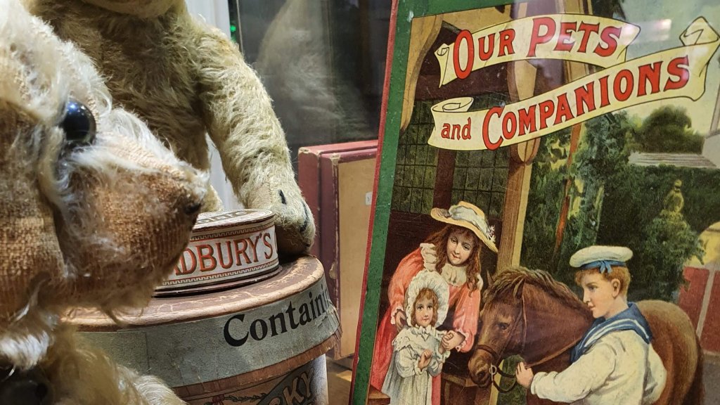 Close-up of a teddy bear's snout and a vintage children's book titled Our Pets and Companions